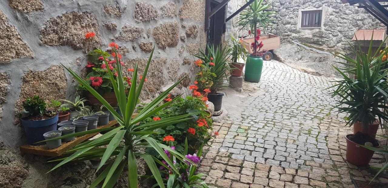Branca Goncalves Belmonte Villa เบลมอนเต ภายนอก รูปภาพ